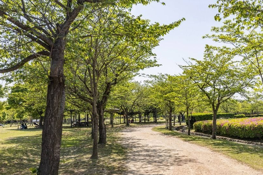 을숙도생태공원