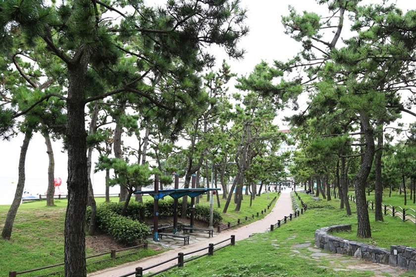 송림공원