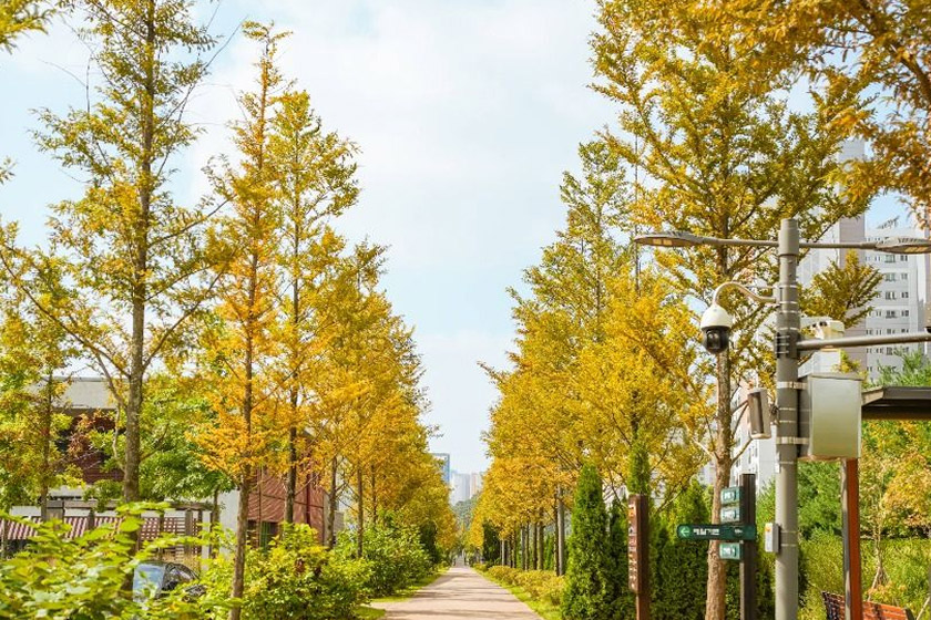 プルン樹木園