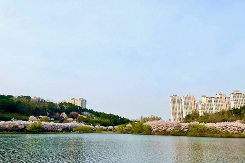 선암호수공원