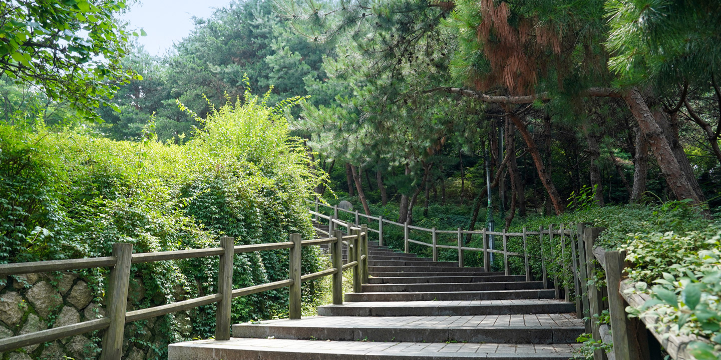 Jogging Course2