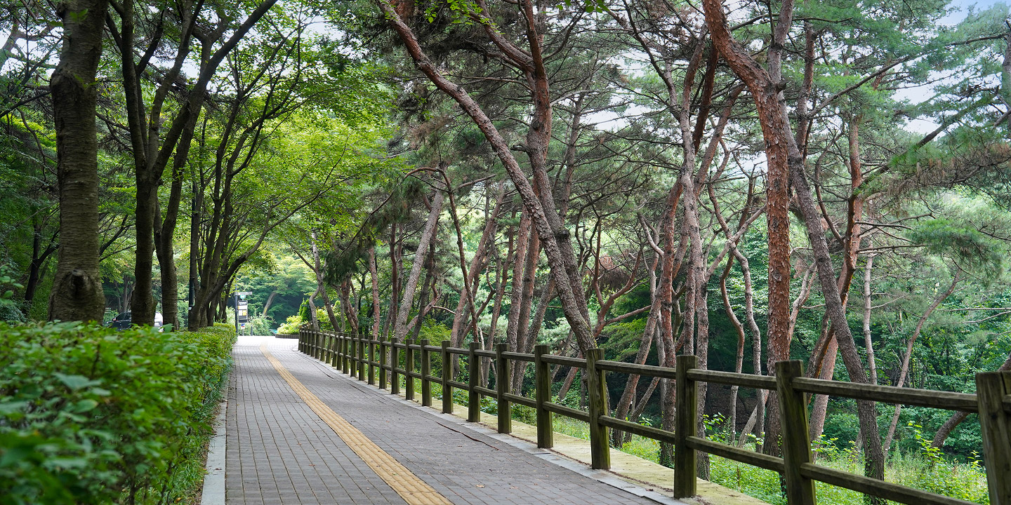 Jogging Course3