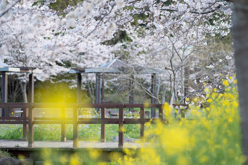 Daewangsucheon Yerae Ecological Park