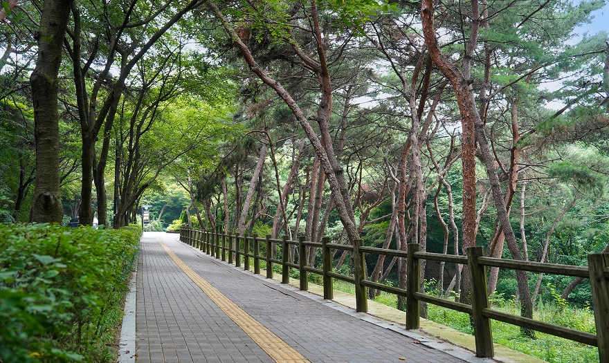 경험4 이미지