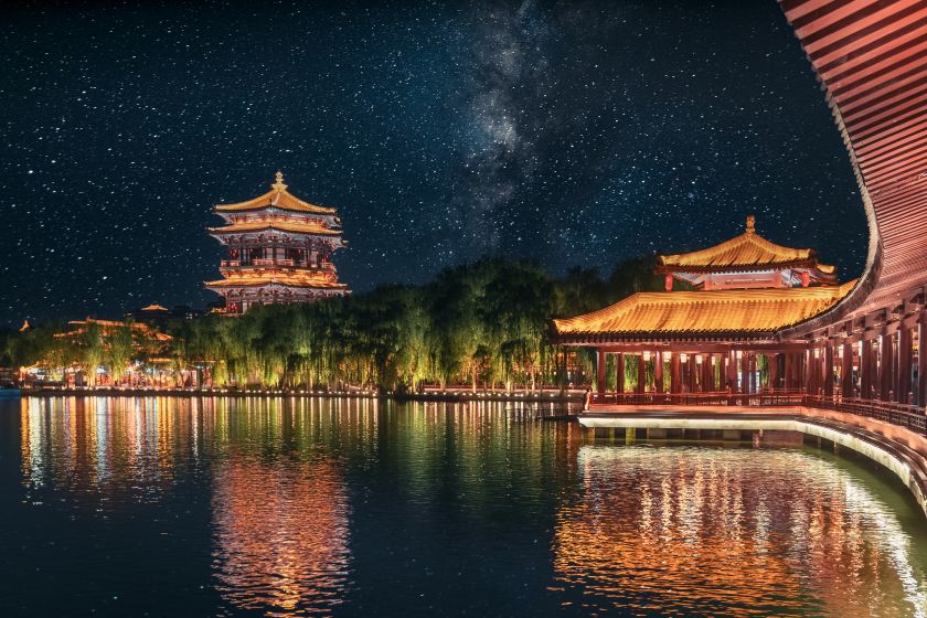 Tang Paradise